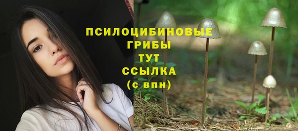 СК Алексеевка