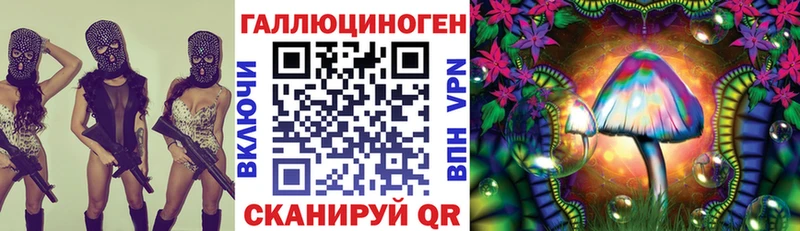 где купить наркоту Любань Галлюциногенные грибы Magic Shrooms